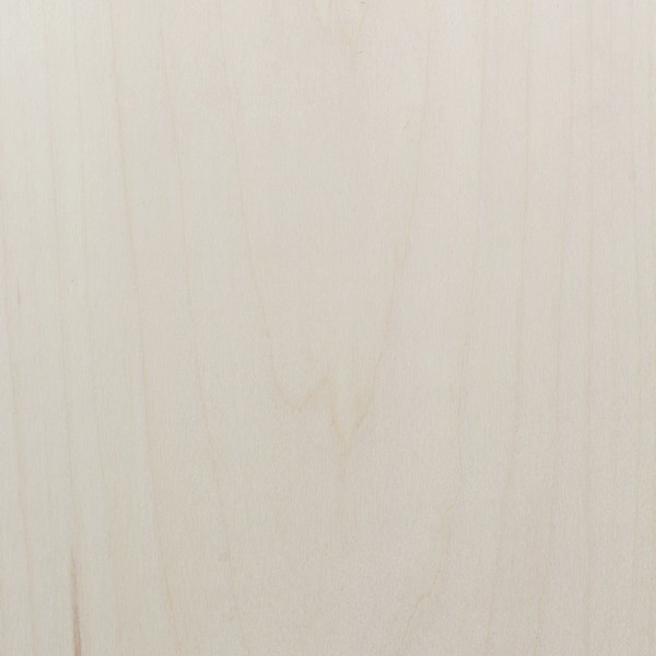 A panel of pale Colorado aspen wood with fine, luminous vertical grain.