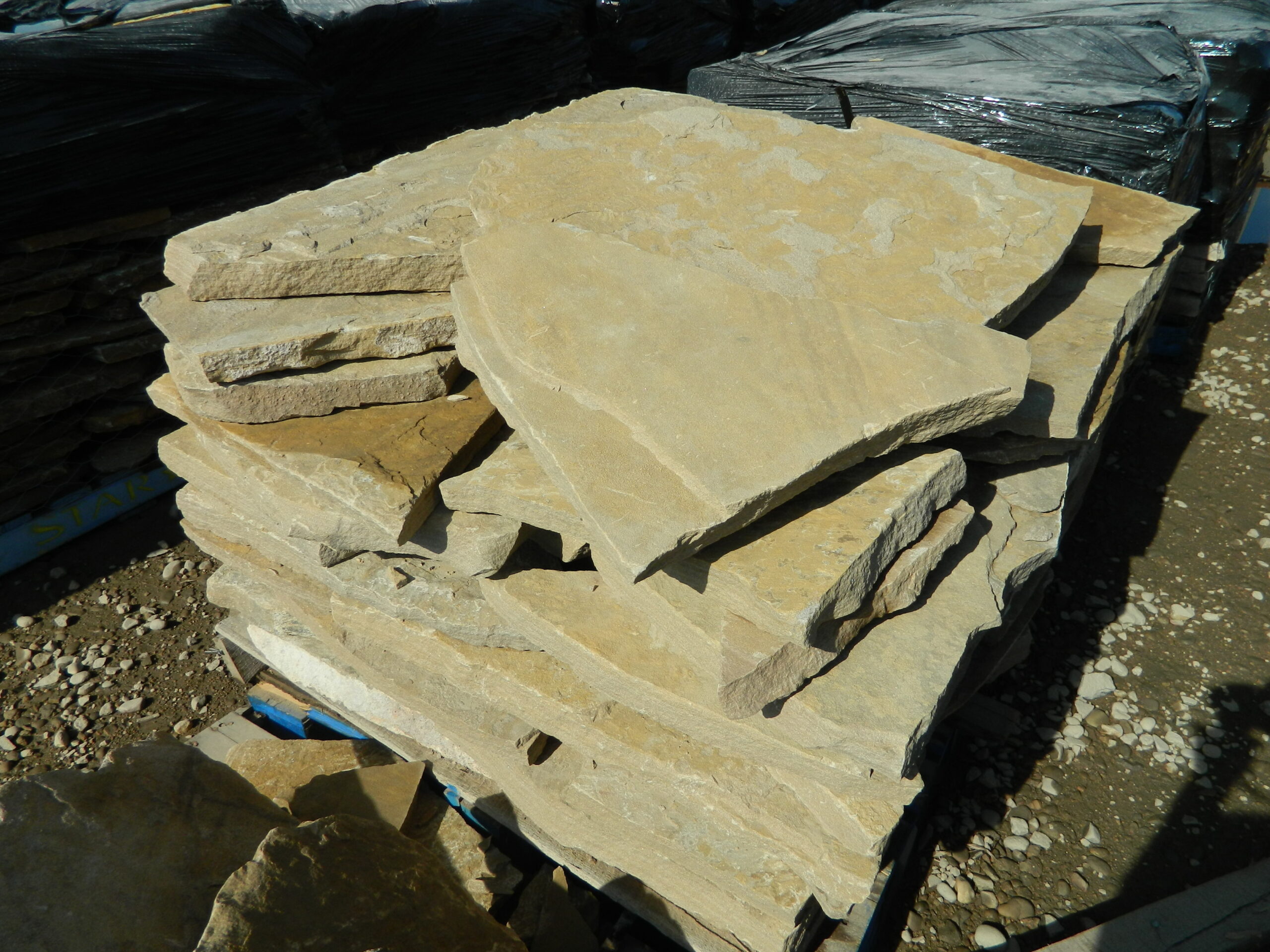 A slab of golden Colorado buff flagstone with natural quarry texture and warm sun-bleached tone.